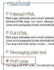 drupal input format php code